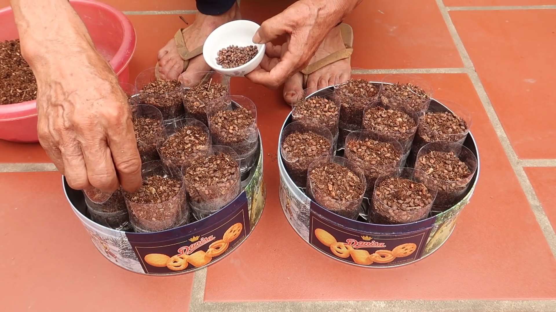 Gemüseanbau Plastikflaschen DIY
